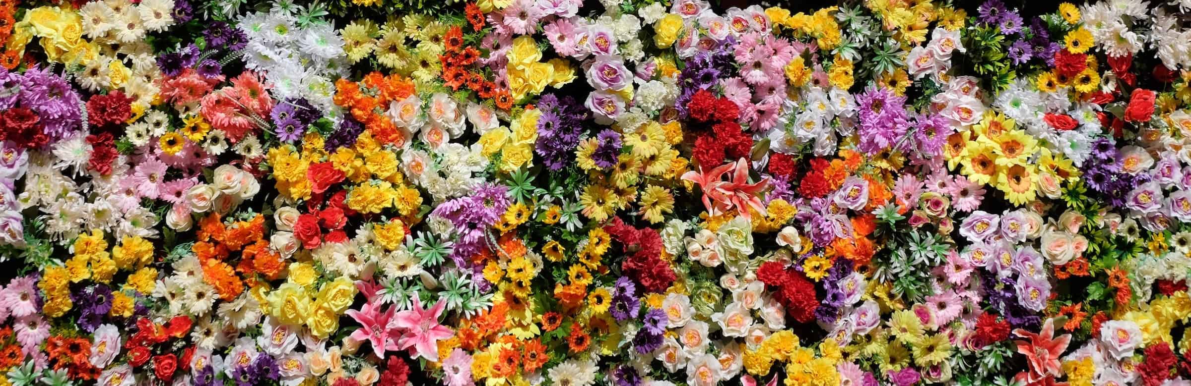 Flowers category background
