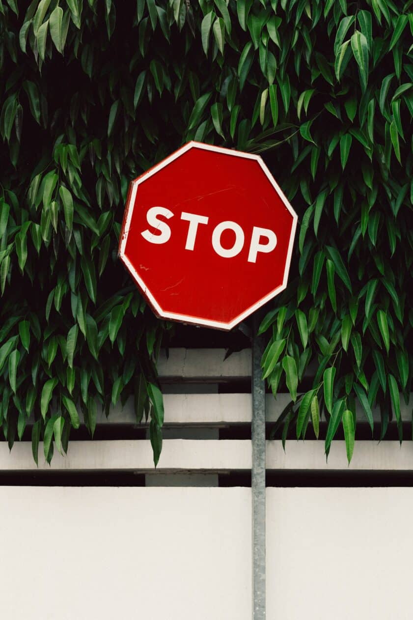 Stop sign in front of a plant