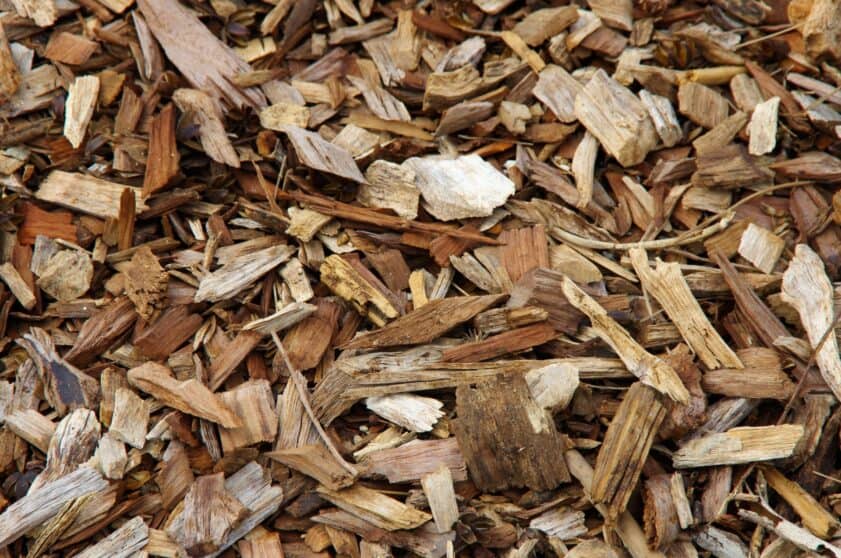 When Is the Best Time to Mulch?