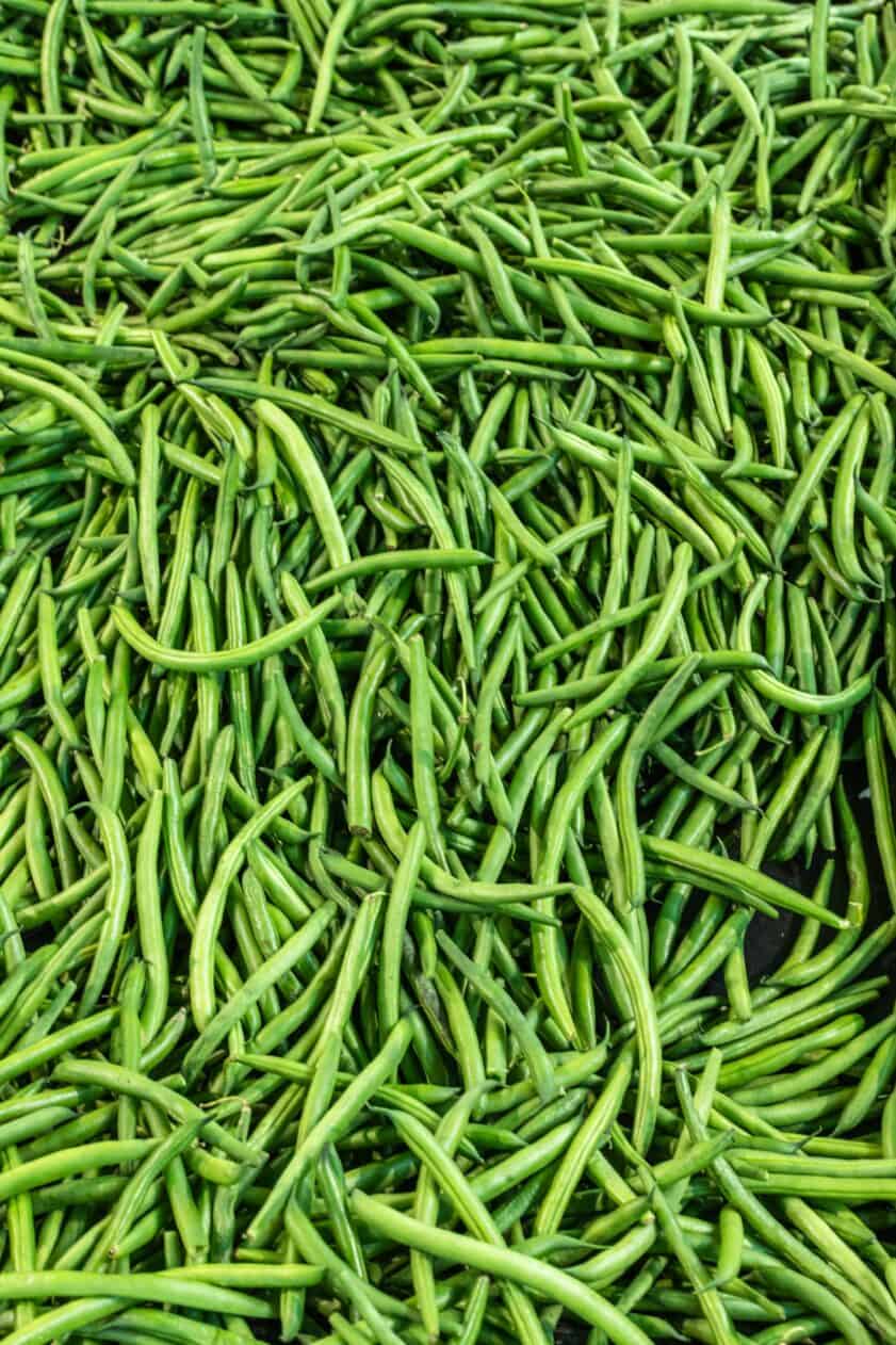 Harvested green beans