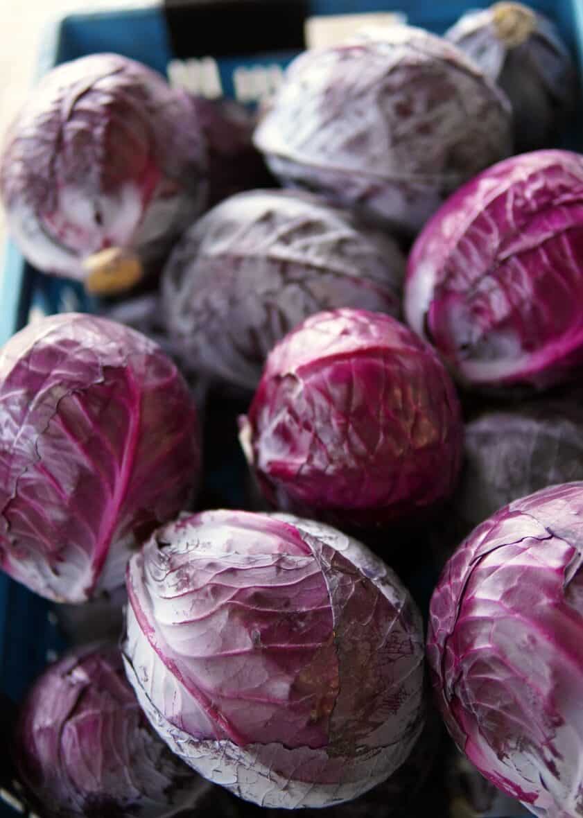 Red cabbages