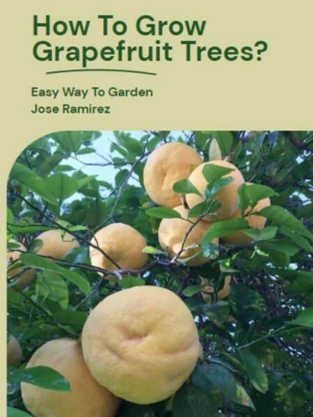 grapefruit trees story