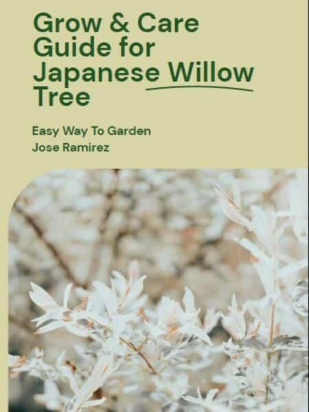 japanese willow story