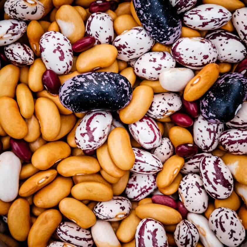 What Are the Types of Beans?